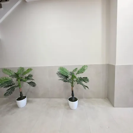 Molla Apartment
